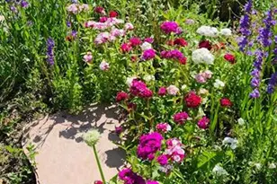 16435 Fairchild Ave, Monument, CO 80132 - Photo 33