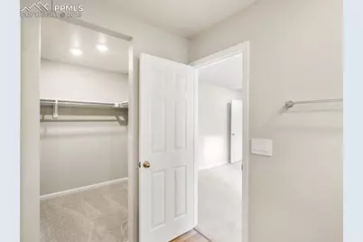 11397 Pikeminnow Place, Colorado Springs, CO 80925 - Photo 21