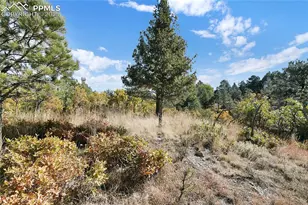 4688 Stone Manor Heights, Colorado Springs, CO 80906 - Photo 7