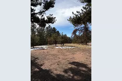 530 Columbine Road, Florissant, CO 80816 - Photo 15