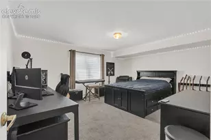 6769 Showhorse Ct, Colorado Springs, CO 80922 - Photo 29