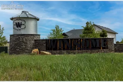 11691 Rambling Road, Colorado Springs, CO 80908 - Photo 17