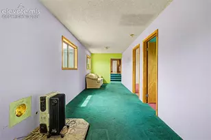 357 County Rd 46, Florissant, CO 80816 - Photo 7