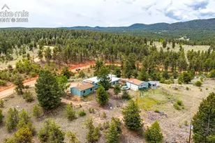 357 County Rd 46, Florissant, CO 80816 - Photo 43