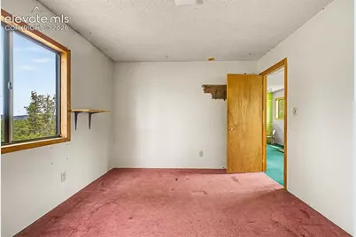 357 County Road 46, Florissant, CO 80816 - Photo 31
