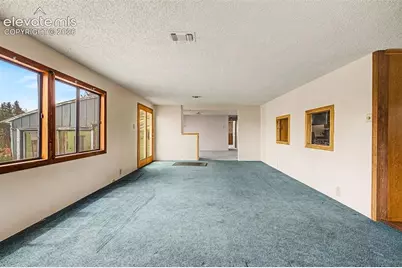 357 County Road 46, Florissant, CO 80816 - Photo 15