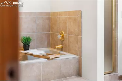 744 Count Pourtales Drive, Colorado Springs, CO 80906 - Photo 25