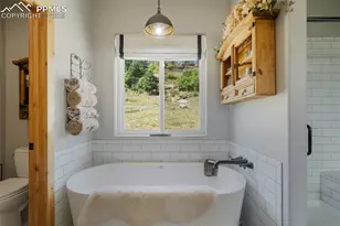 325 Spring Valley Dr, Florissant, CO 80816 - Photo 25