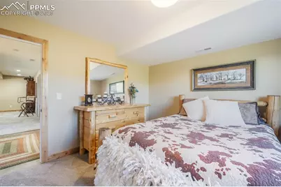 325 Spring Valley Drive, Florissant, CO 80816 - Photo 33