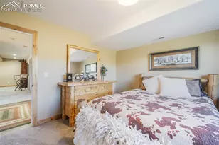 325 Spring Valley Dr, Florissant, CO 80816 - Photo 33