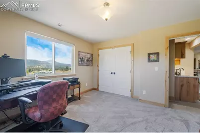 325 Spring Valley Drive, Florissant, CO 80816 - Photo 37