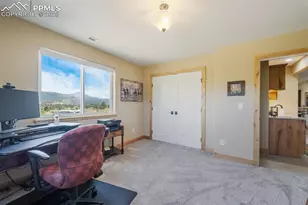 325 Spring Valley Dr, Florissant, CO 80816 - Photo 37