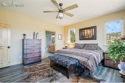 325 Spring Valley Drive, Florissant, CO 80816 - Photo 21