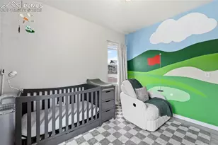 11915 Alydar Loop, Colorado Springs, CO 80921 - Photo 17