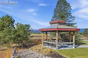 11915 Alydar Loop, Colorado Springs, CO 80921 - Photo 45