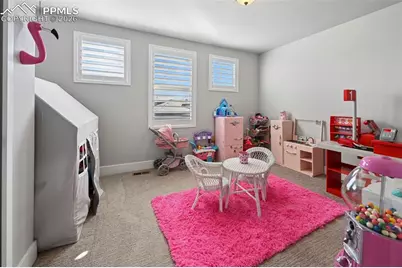 9776 Antelope Ravine Drive, Colorado Springs, CO 80908 - Photo 29