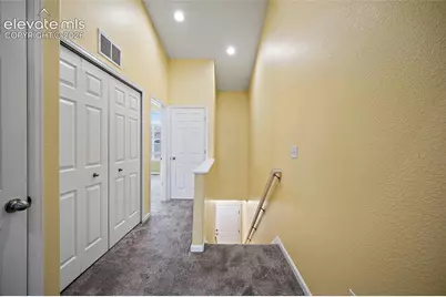 6585 Baytree Grove, Colorado Springs, CO 80923 - Photo 21