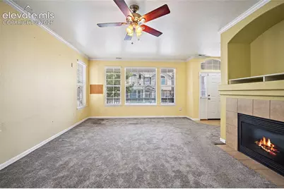 6585 Baytree Grove, Colorado Springs, CO 80923 - Photo 11
