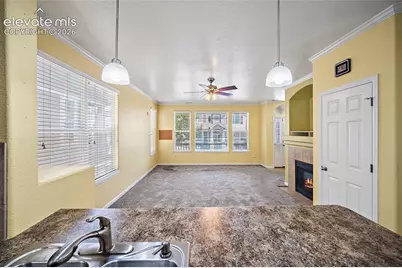 6585 Baytree Grove, Colorado Springs, CO 80923 - Photo 19