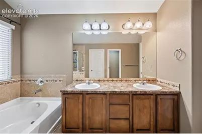 6585 Baytree Grove, Colorado Springs, CO 80923 - Photo 29