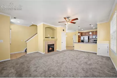 6585 Baytree Grove, Colorado Springs, CO 80923 - Photo 9