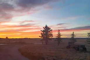 12835 Forest Green Dr, Elbert, CO 80106 - Photo 35