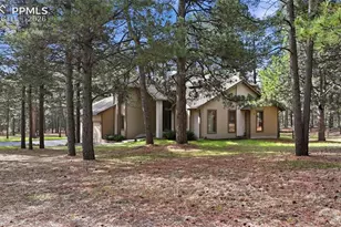 18475 Lake Dr, Monument, CO 80132 - Photo 37