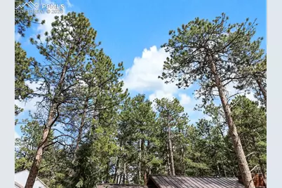 305 N Walnut Street, Woodland Park, CO 80863 - Photo 43