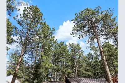 305 N Walnut Street, Woodland Park, CO 80863 - Photo 43