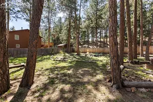 305 N Walnut St, Woodland Park, CO 80863 - Photo 35