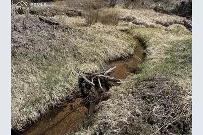 00 Wildhorn Road, Florissant, CO 80816 - Photo 5