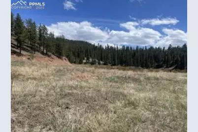 00 Wildhorn Road, Florissant, CO 80816 - Photo 3