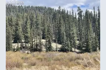 00 Wildhorn Road, Florissant, CO 80816 - Photo 7