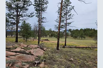 208 Eaglecrest Drive, Florissant, CO 80816 - Photo 15