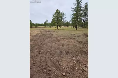 208 Eaglecrest Drive, Florissant, CO 80816 - Photo 5