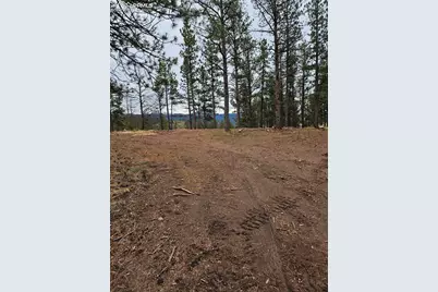 208 Eaglecrest Drive, Florissant, CO 80816 - Photo 7