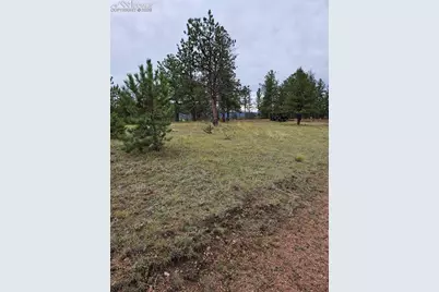 208 Eaglecrest Drive, Florissant, CO 80816 - Photo 1