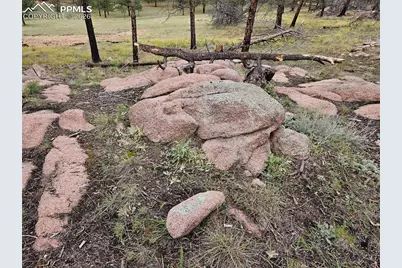 208 Eaglecrest Drive, Florissant, CO 80816 - Photo 23