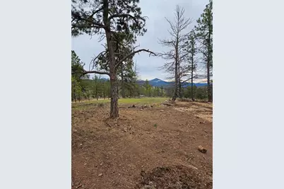 208 Eaglecrest Drive, Florissant, CO 80816 - Photo 9