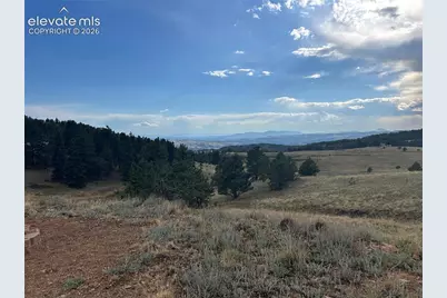 1100 Grumpy Burrow View, Cripple Creek, CO 80863 - Photo 7