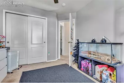 7037 Wood Lily Drive, Colorado Springs, CO 80923 - Photo 29