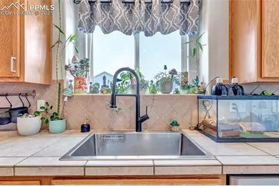 7037 Wood Lily Drive, Colorado Springs, CO 80923 - Photo 19