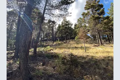 342 Ponderosa View, Manitou Springs, CO 80829 - Photo 13