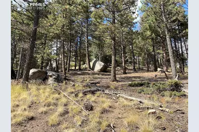 342 Ponderosa View, Manitou Springs, CO 80829 - Photo 5