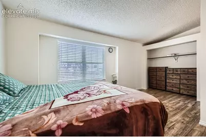3833 Smoke Tree Drive, Colorado Springs, CO 80920 - Photo 15