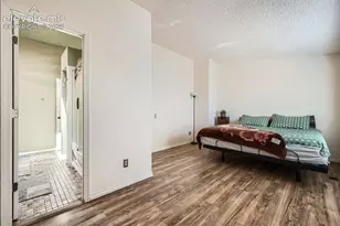 3833 Smoke Tree Dr, Colorado Springs, CO 80920 - Photo 13
