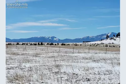 19250 Mariah Trail, Colorado Springs, CO 80908 - Photo 7