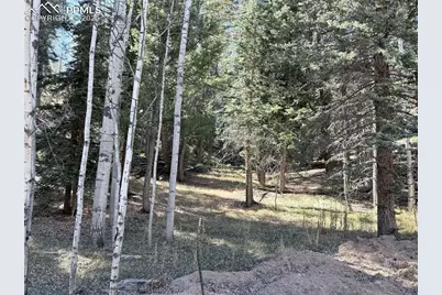 453 Homestead Drive, Woodland Park, CO 80863 - Photo 1