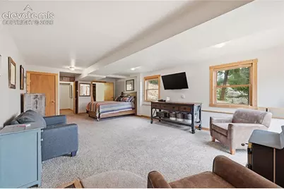 123 Granby Lake Way, Divide, CO 80814 - Photo 27