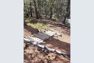 329 Paradiso Road, Divide, CO 80814 - Photo 13